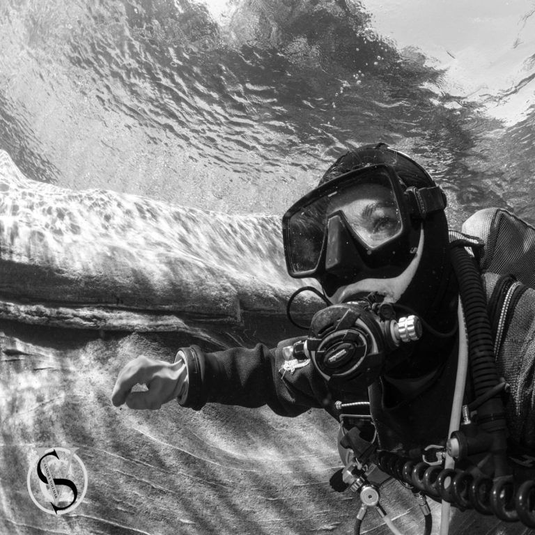 Referenzen Einen Auszug aus meinen Arbeiten im Webbereich