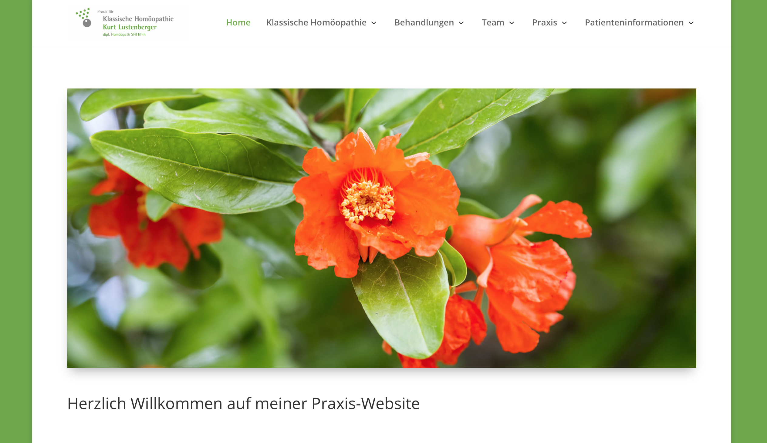 Klassische Homöopathie Luzern